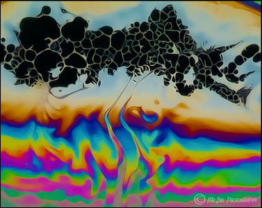 IMAGE: http://mr-bill-photography.smugmug.com/Abstract/Soap-Art/Soap-1/1150533048_WwGrn-S.jpg