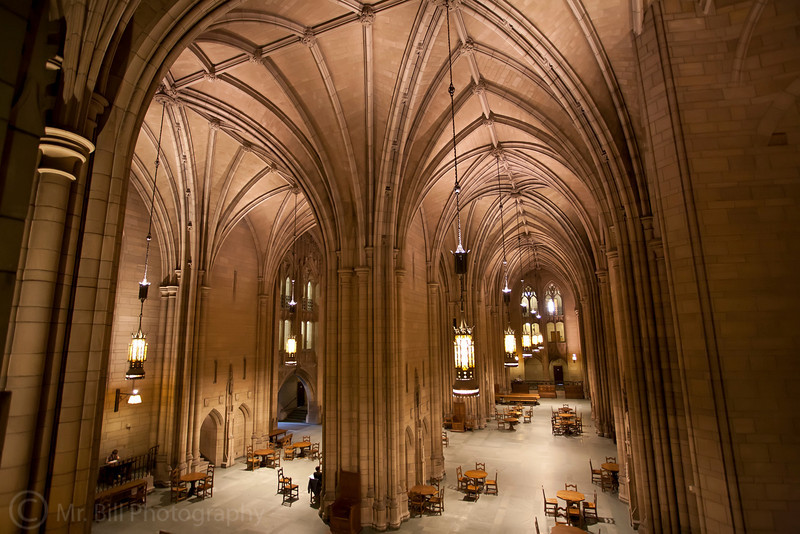 IMAGE: http://mr-bill-photography.smugmug.com/Travel/Pittsburgh/Cathedral-of-Learning-interior/1228348541_kMcm9-L.jpg